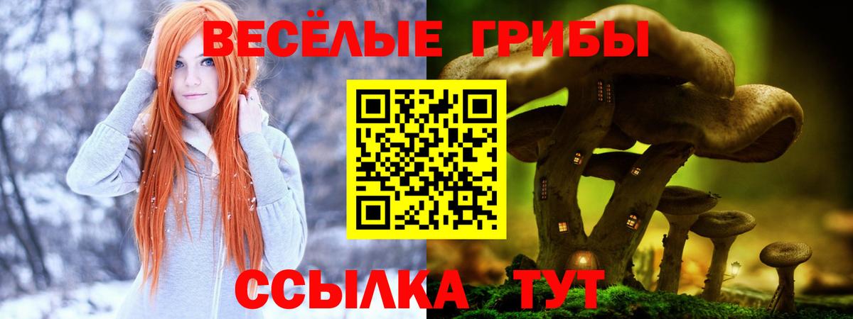 Псилоцибиновые грибы Psilocybe Усолье-Сибирское